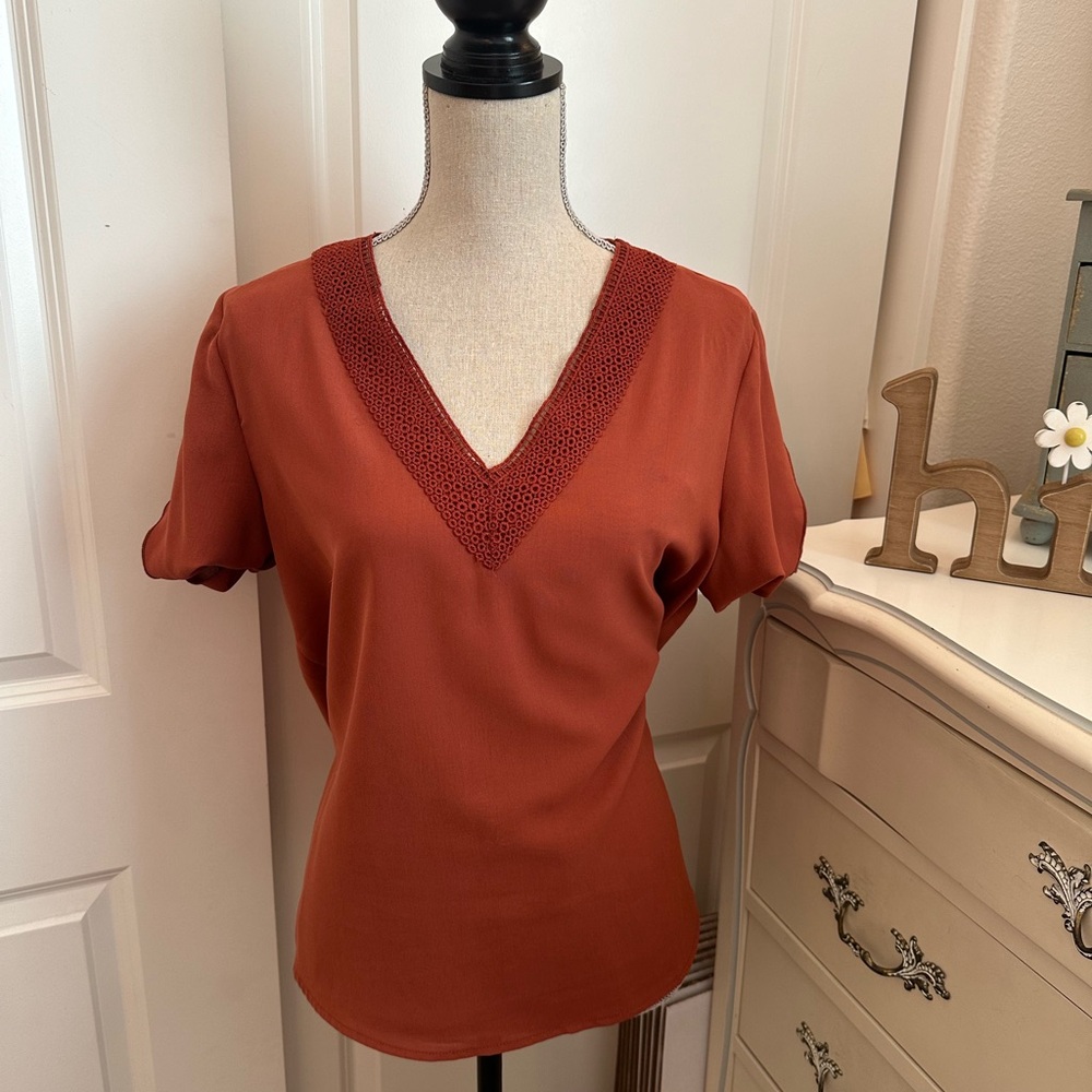 Chic V-Neck Rust Top